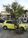 Urlaub in Kaštel Kambelovac 049.JPG