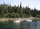 301 Bei Korcula - und die V_gel zwitschern.jpg