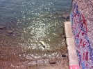 IMG_20240814_121003.JPG
