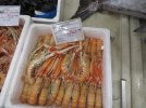 IMG_0671.JPG