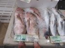 IMG_0677.JPG