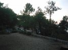 IMG_20240901_070831.JPG