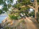 IMG_20240901_072555.JPG