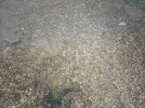 mein badewasser.JPG
