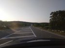 kühe auf der strasse.JPG