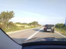 kühe auf der strasse.JPG1.JPG