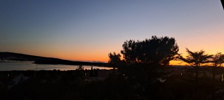 20241123_165437.jpg