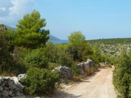 223 Stari Grad - Weg zur Bucht Zavala.JPG