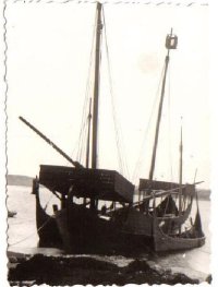 Werft Punat 1962.jpg