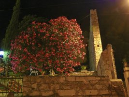 Veli Losinj 028a.jpg