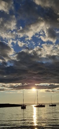 20250831_190210.jpg