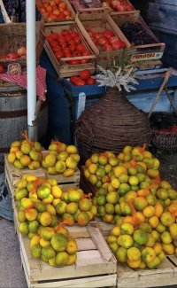 Mandarinen-1.jpg