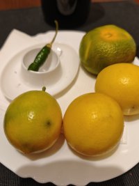 IMG_20251009_191427.jpg