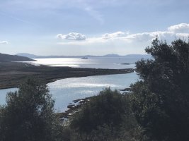 EC91297B-E36C-4F14-8EE8-2E0DF7065327.jpeg