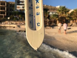 IMG_9691.jpeg
