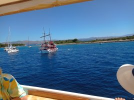 IMG_20250629_110001.jpg