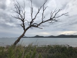 Wanderung Biograd (24).JPG Wanderung Biograd (24).JPG