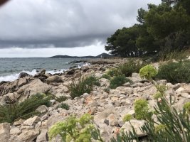 Wanderung Biograd (27).JPG Wanderung Biograd (27).JPG