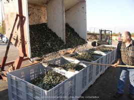 PICT4524.JPG PICT4524.JPG