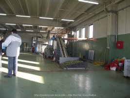 PICT4526.JPG PICT4526.JPG