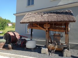 IMG_20240510_100444.jpg IMG_20240510_100444.jpg