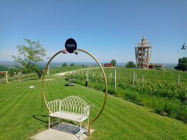 IMG_20240510_112607.jpg IMG_20240510_112607.jpg