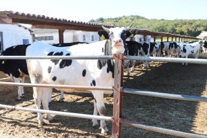 1763982788528.jpeg 1763982788528.jpeg