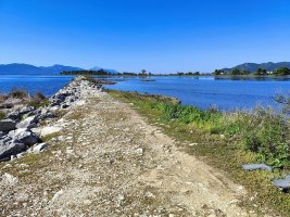 WhatsApp Bild 2025-10-04 um 13.39.38_27ea0e2e.jpg