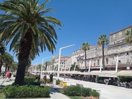 IMG_20250702_122400.jpg IMG_20250702_122400.jpg