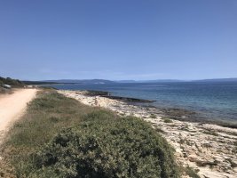 Summer Beach Bar (4).JPG