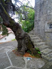 k-Urlaub in Lumbarda 386.JPG