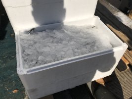 Kuje Fischerei (12).jpg