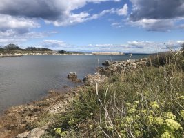 Liznjan (14).JPG Liznjan (14).JPG