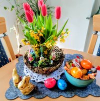 IMG_20260402_152419_1775143852029~3.jpg IMG_20260402_152419_1775143852029~3.jpg