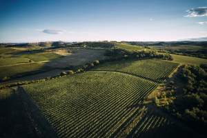 1776158189220.png 1776158189220.png