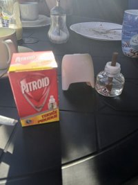 20260418_165543.jpg