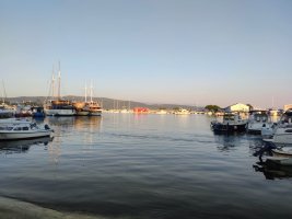 IMG_20260628_104501.jpg