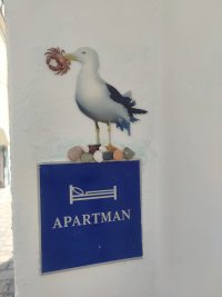 IMG_20260629_163816.jpg