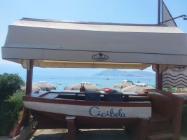 IMG_20260629_163440.jpg