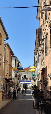 IMG_20260619_100657.jpg