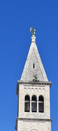 IMG_20260619_100850.jpg