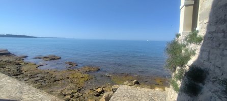IMG_20260619_101044.jpg