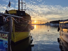 1000065456.jpg