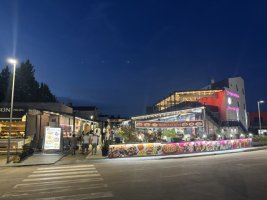 IMG_7027.jpeg