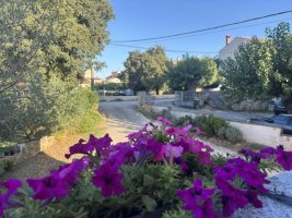 IMG_7034.jpeg