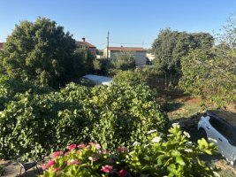 IMG_7033.jpeg