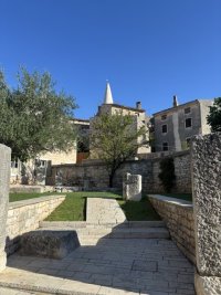 IMG_7035.jpeg