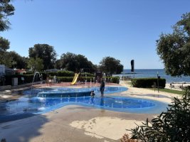 IMG_7047.jpeg