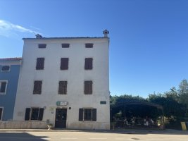 IMG_7038.jpeg