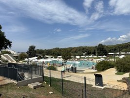 IMG_7119.jpeg